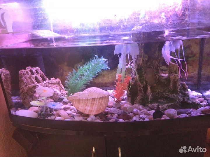 Аквариум 125л