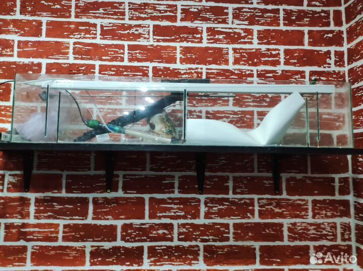 Фитофильтр