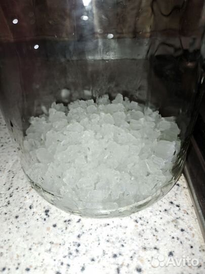 Индийский морской рис