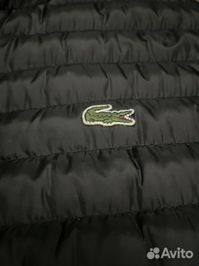 Жилетка мужская lacoste