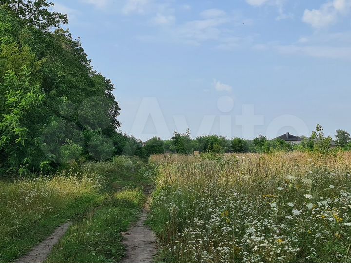 Участок 5,5 сот. (ИЖС)