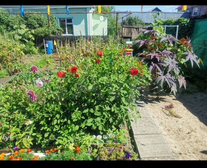 Дом 41 м² на участке 2,1 сот.