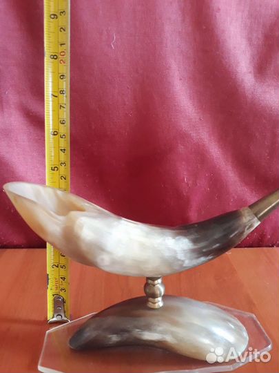 Рог изобилия