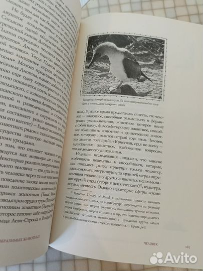 Книга о самых невообразимых животных