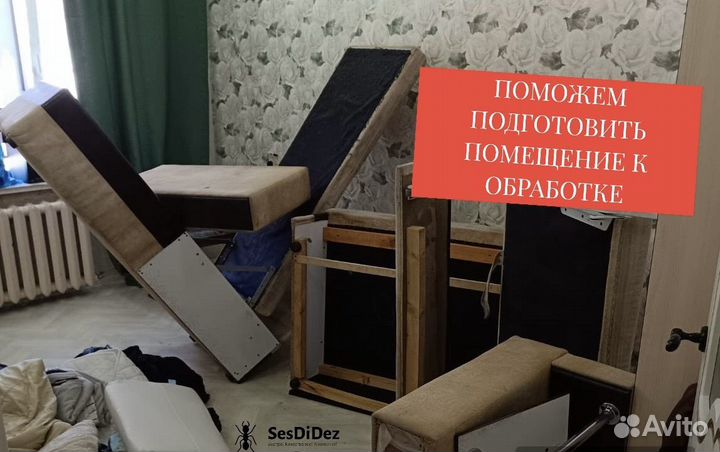 Уничтожение насекомых, обработка от клещей