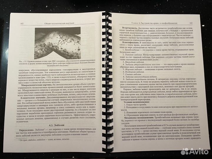 Учебник по патологической анатомии Повзун