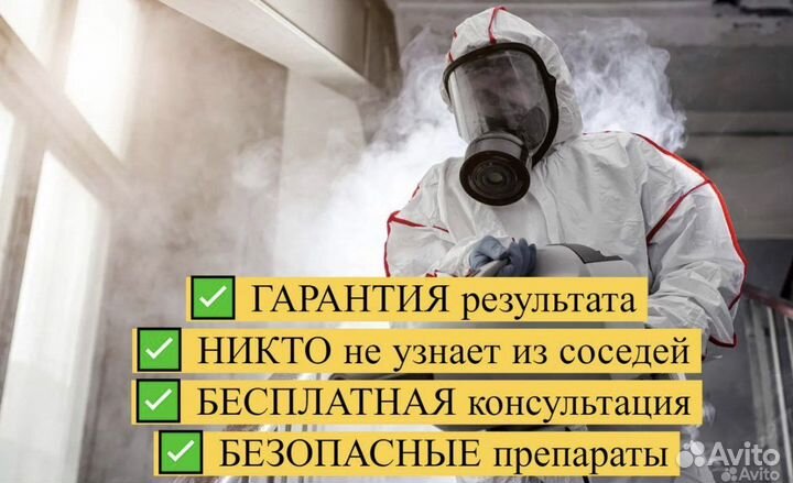 Уничтожение тараканов клопов Дезинсекция