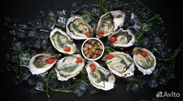 Устрица 
