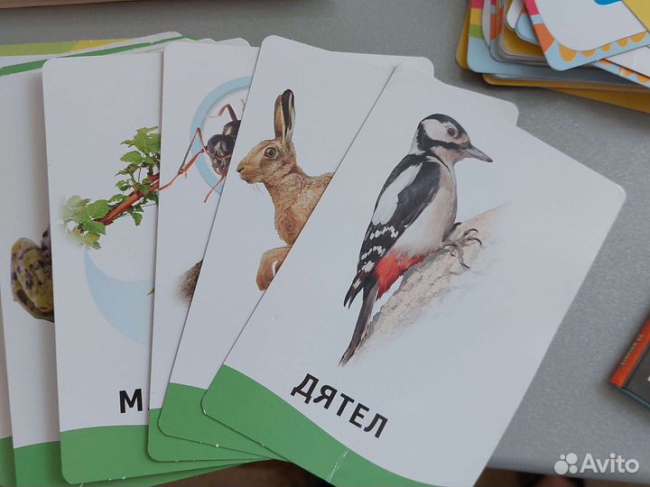 Развивающие карточки, домино, магнитная книга