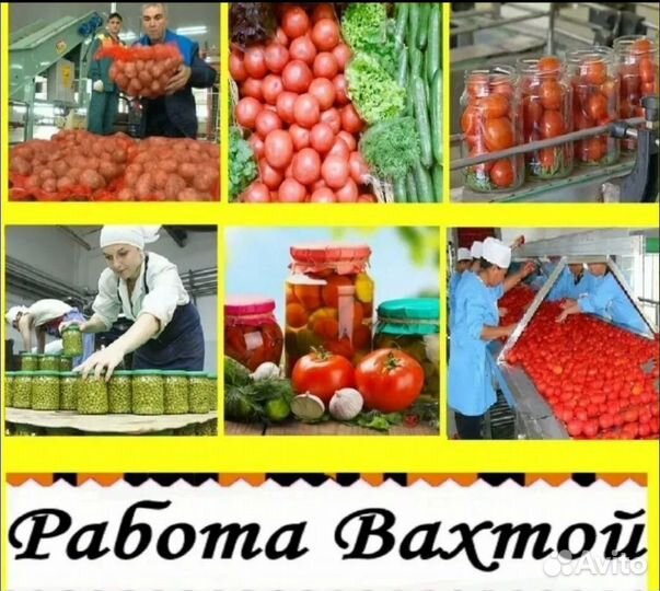 Разнорабочие вахта