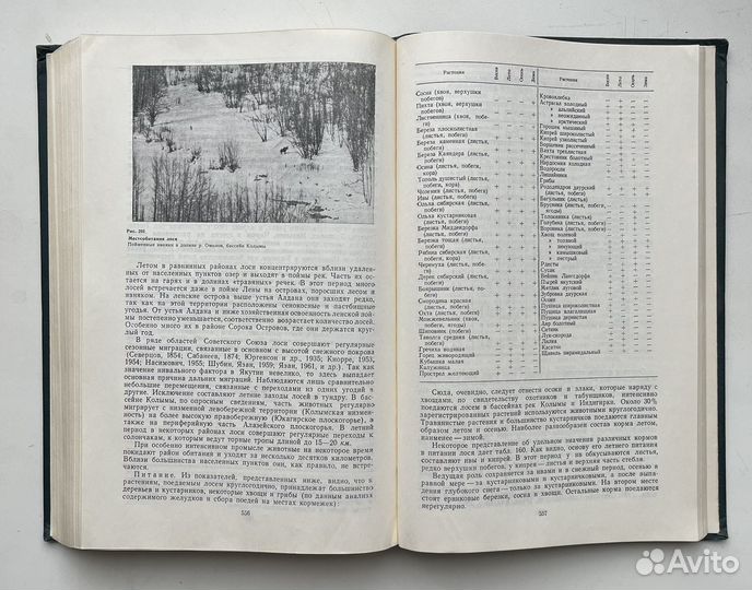 Млекопитающие Якутии