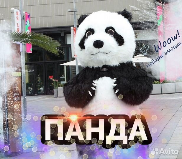 Аниматор Панда, поздравление, на праздник