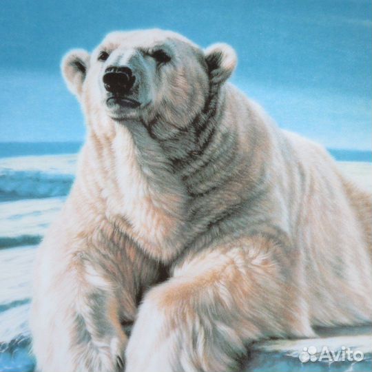 Тарелки серии 