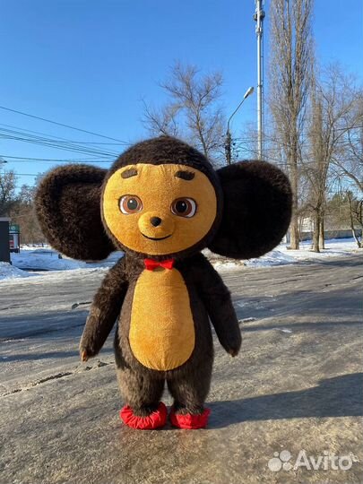 Белый Мишка Ушастик поздравление