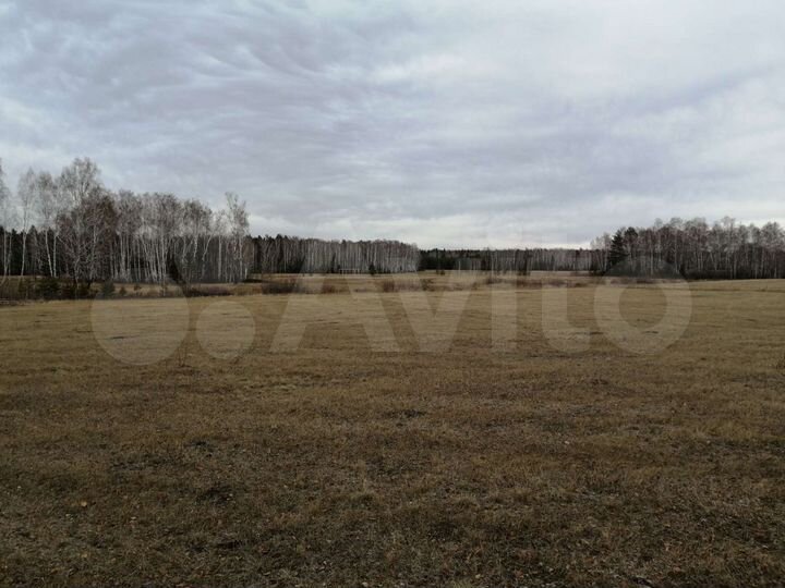 Участок 3,18 га (СНТ, ДНП)