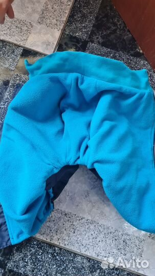 Одежда для небольших собак