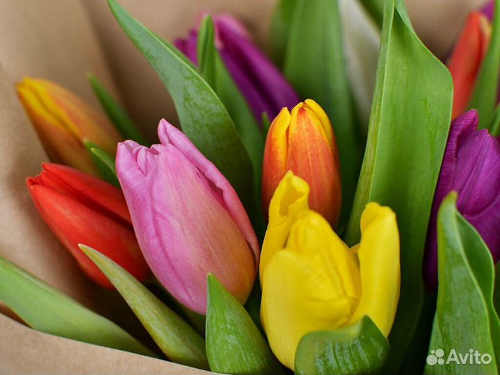 Тюльпаны микс разноцветные в крафте