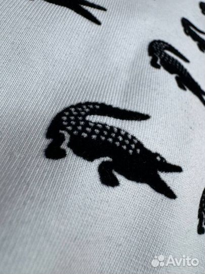 Летний костюм с шортами Lacoste