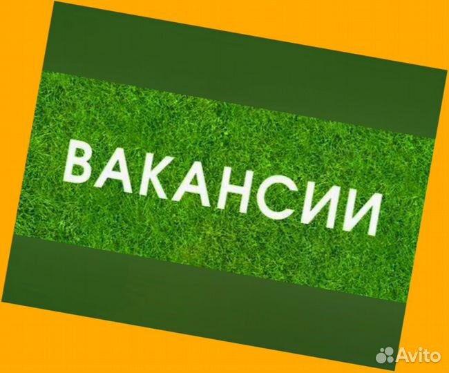 Упаковщик Вахта Проживание и Питание Аванс еженеде