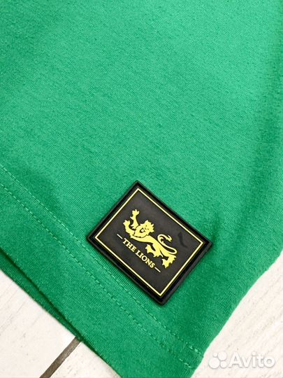 Футболка Canterbury British and Irish Lions