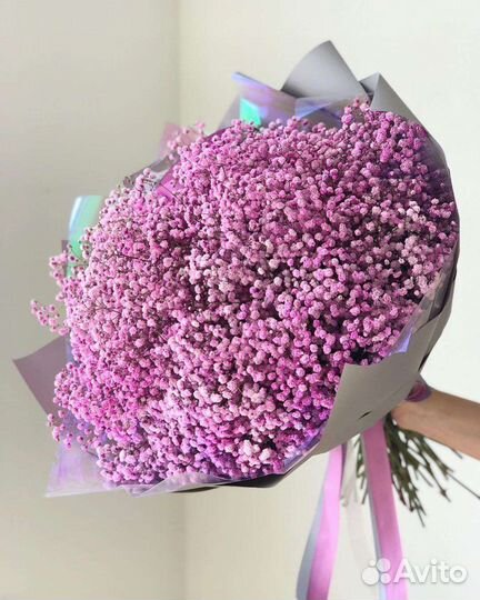 Гипсофила всех цветов