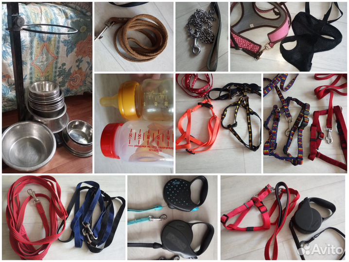 Ошейники поводки миски одежда