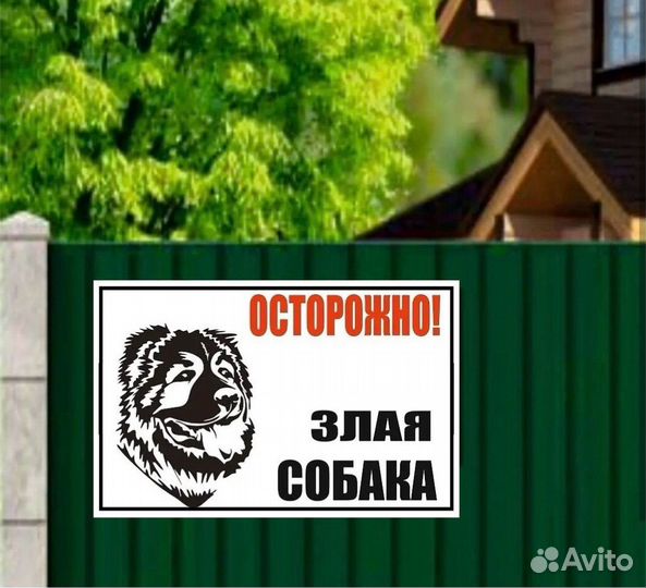 Осторожно злая собака таблички