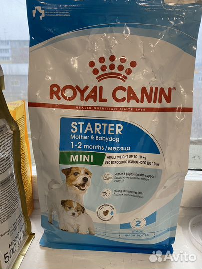 Корм для собак