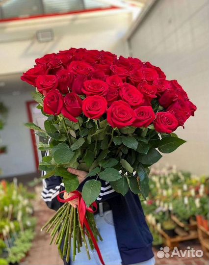 Длинные высокие розы 110 150 160 180 200 см