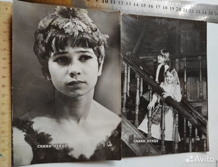 Набор ретро фотографий Синяя птица и Спартак