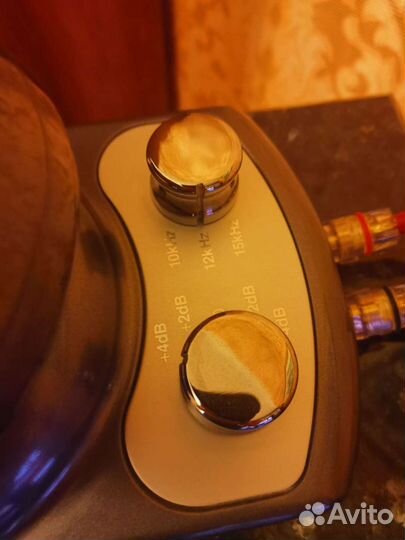 Супертвитеры Elac 4 Pi Plus 2