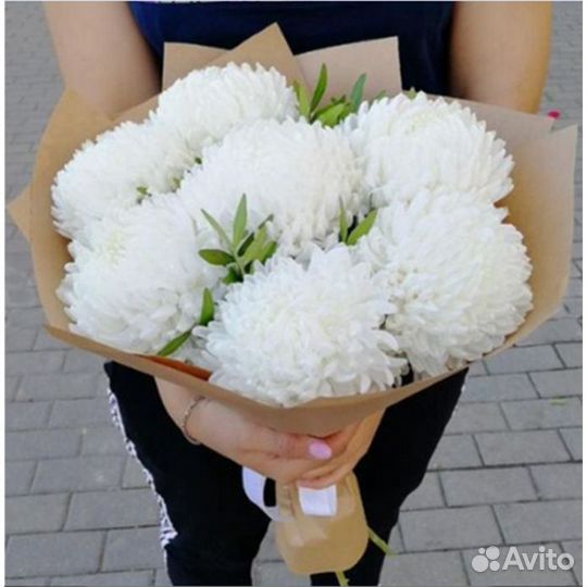 Хризантемы для особых дней