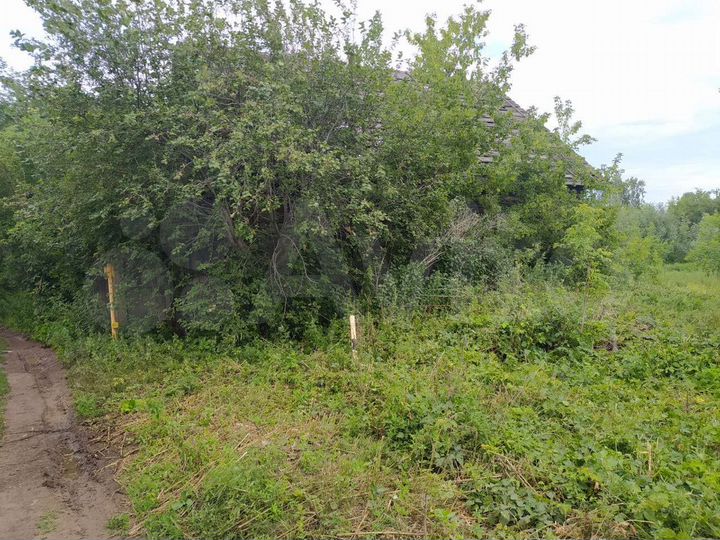 Участок 12,5 сот. (ИЖС)