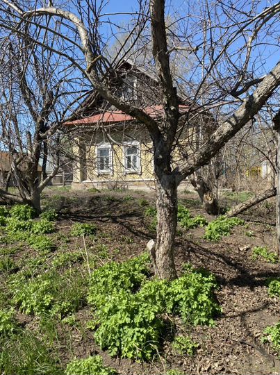 Дом 50 м² на участке 19 сот.