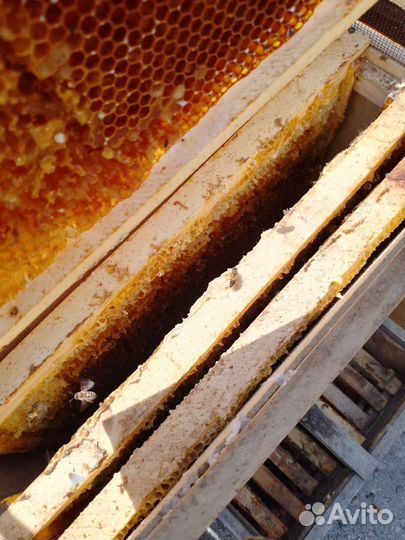 Рамки с сушью