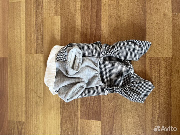 Вещи для маленьких собак