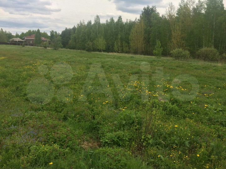 Участок 25 сот. (ИЖС)