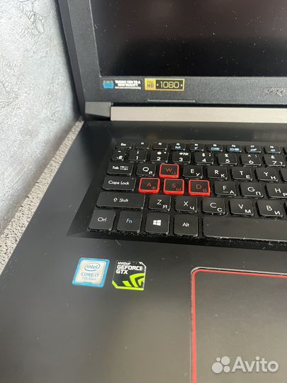 Acer predator