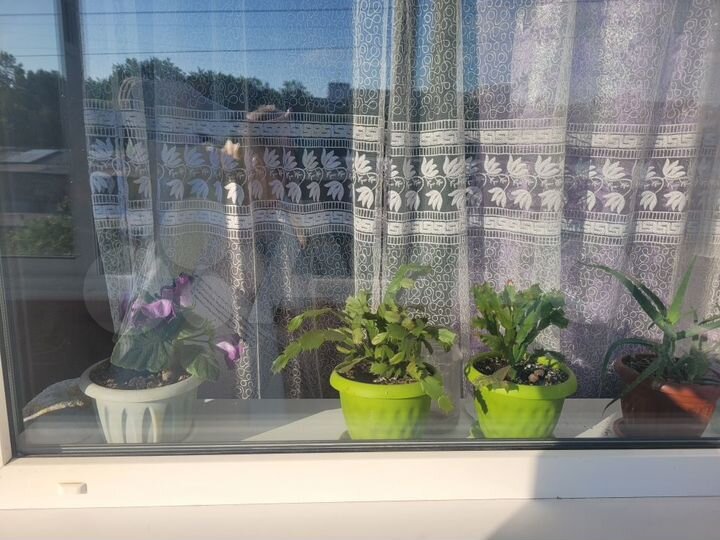 Комната 17,1 м² в 4-к., 4/5 эт.