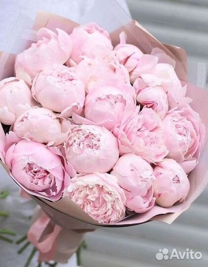 Пионы Букеты Цветы Доставка