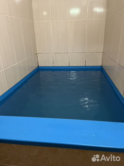 Сдам дом посуточно