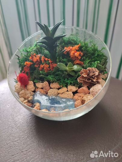 Флорариум. Мини сад