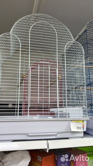 Клетки для попугаев, грызунов, Корма