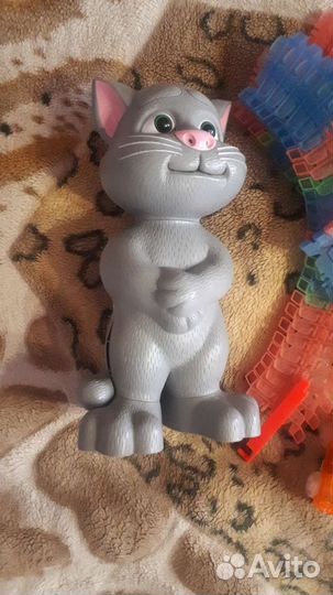 Трековая дорога и кот