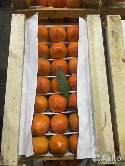 Хурма медовая Азербайджан