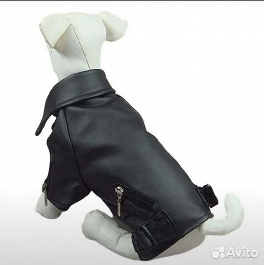 Кожаная куртка для собаки