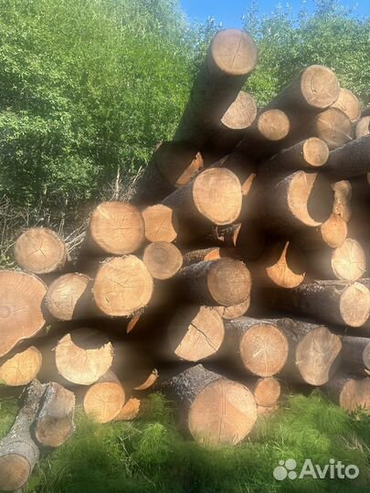 Лес кругляк пиловочник