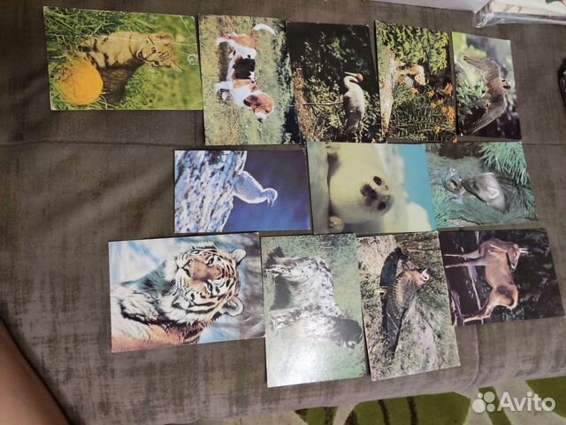 Открытки с животными