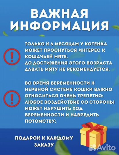 Кошачья мята шарик для кошек