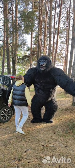 Ростовая кукла аренда